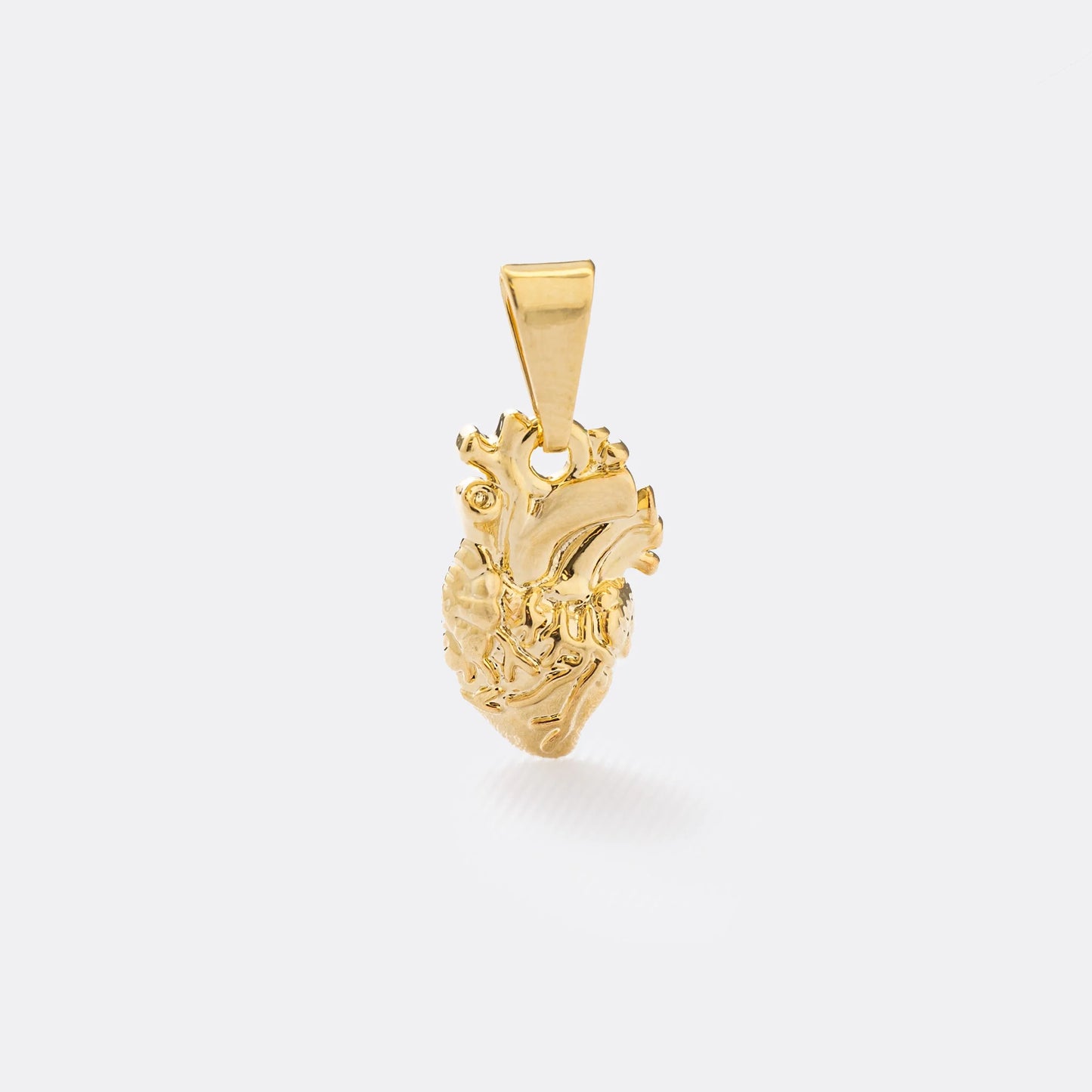 D Corazon