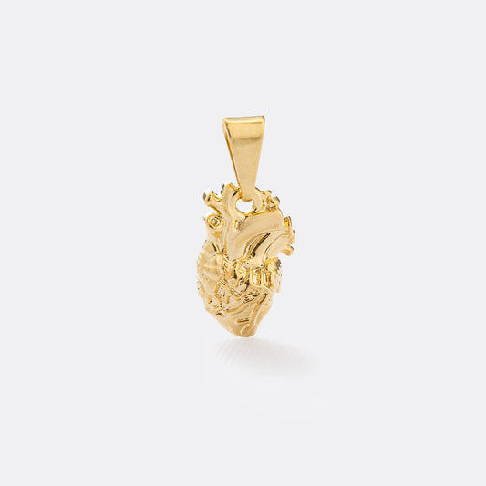 D Corazon